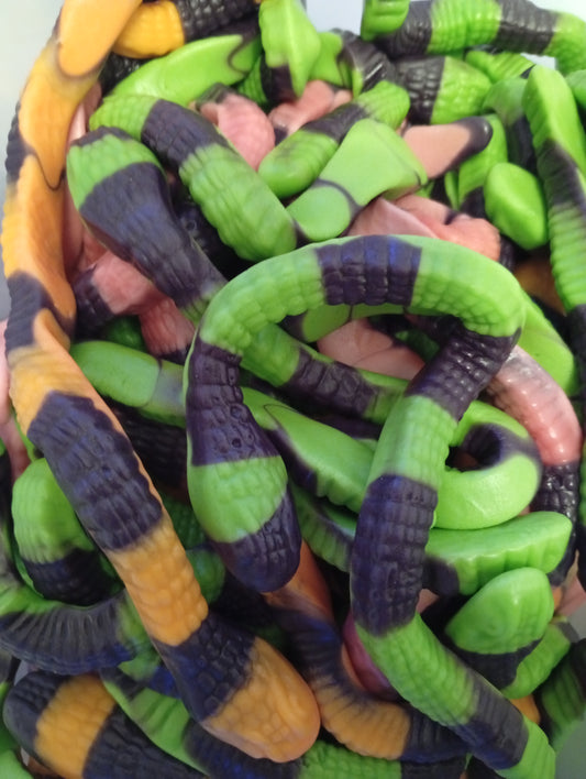 ANACONDA GÉLIFIÉ – 40 GR À L'UNITÉ